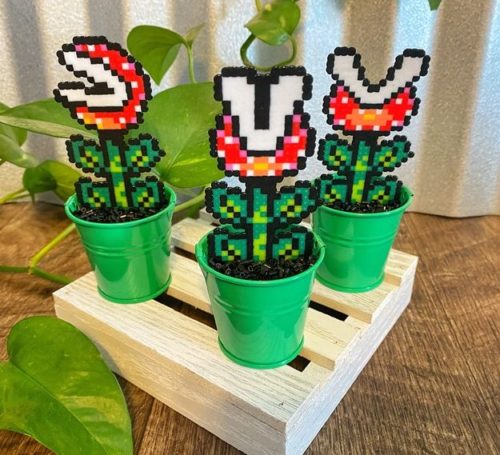 Piranha Desk Plant