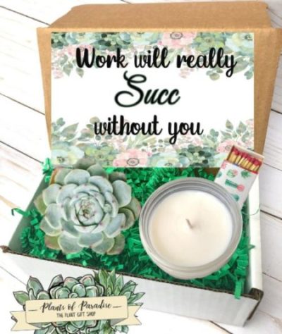 Succulent Gift Box